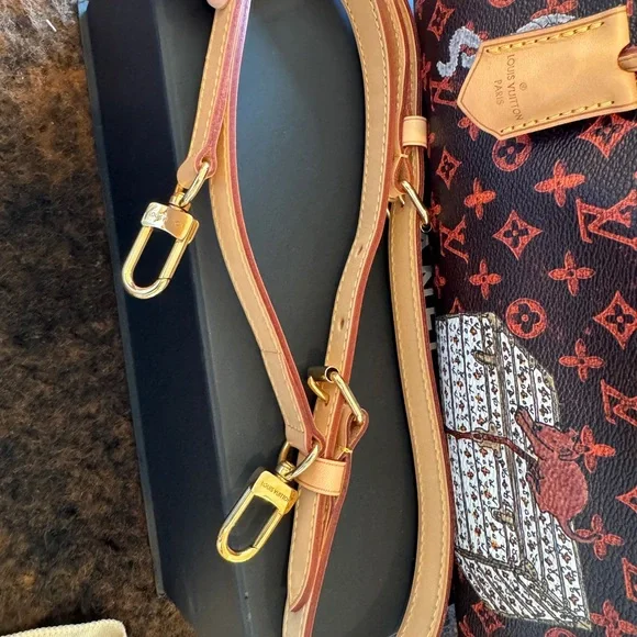 Grace Coddington Louis Vuitton Monogram Cat Speedy 30 Bag - Picture 10 of 10